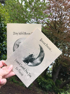 Little Wolf Greeting Cards