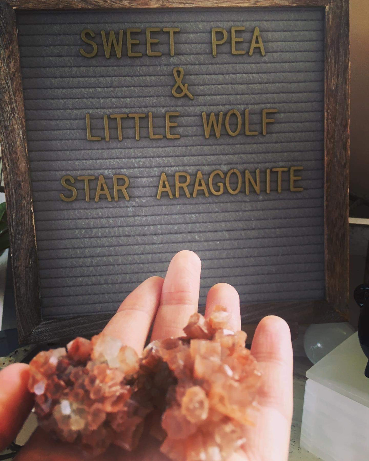 Star Aragonite 🌟