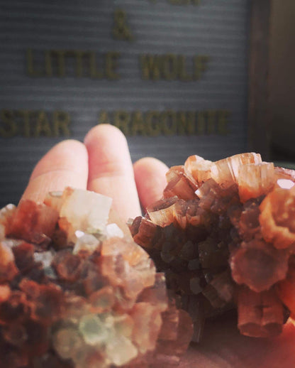 Star Aragonite 🌟