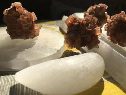 Star Aragonite 🌟